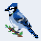 Blue Jay stock pattern preview