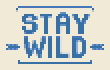 Stay Wild Quote stock pattern preview